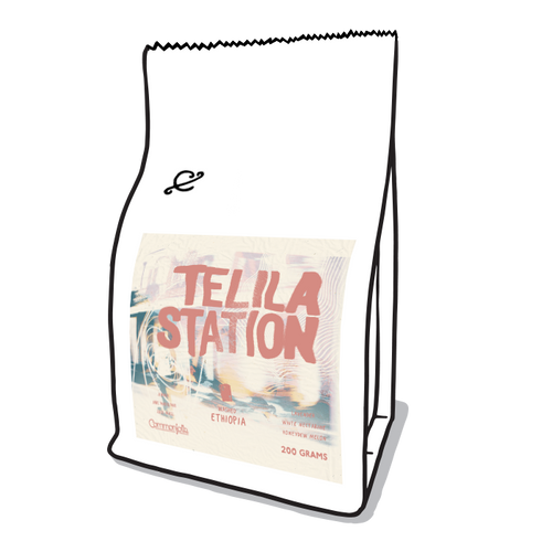 Telila Station
