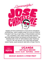 Load image into Gallery viewer, Jose Chameleone [2020]
